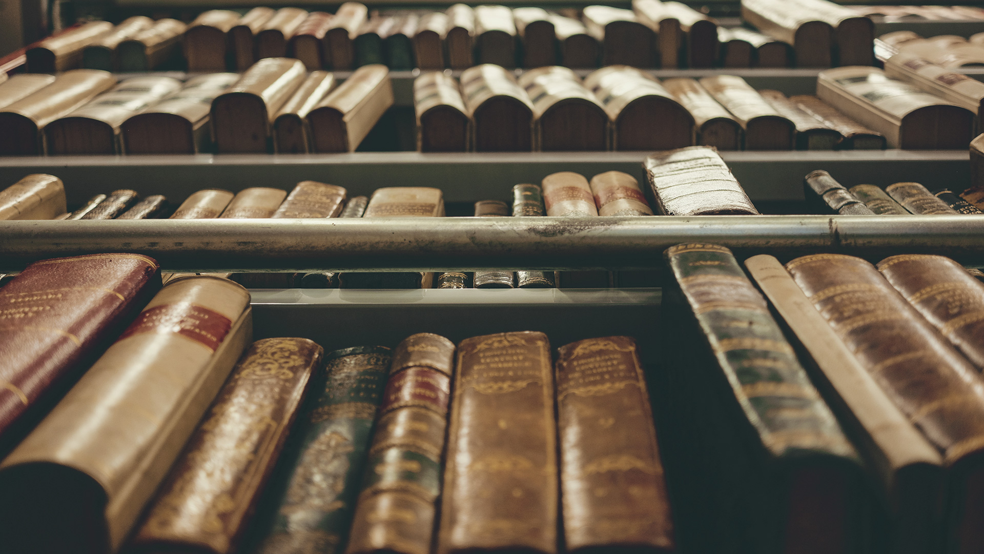 bibliotheca-erica-livres
